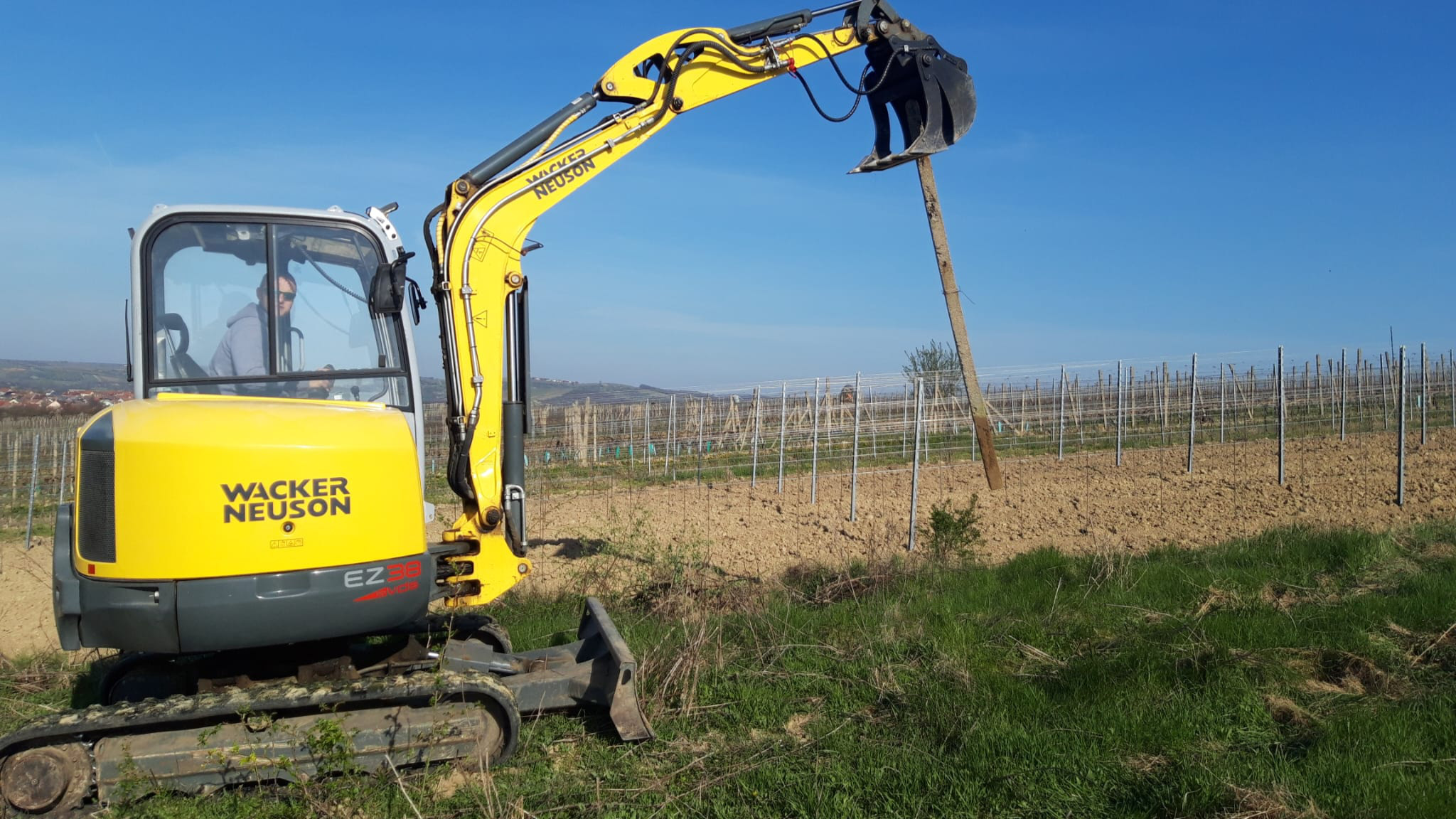 Likvidace nálétových dřevin, porostů, sadů, vinic, a pařezů. Včetně práce s motorovou pilou.